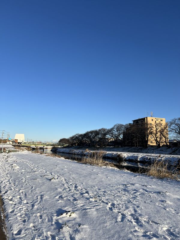 春雪｜元荒川緑道