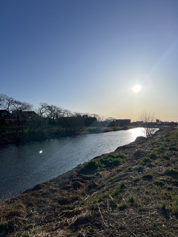 朝の元荒川｜越谷市神明町