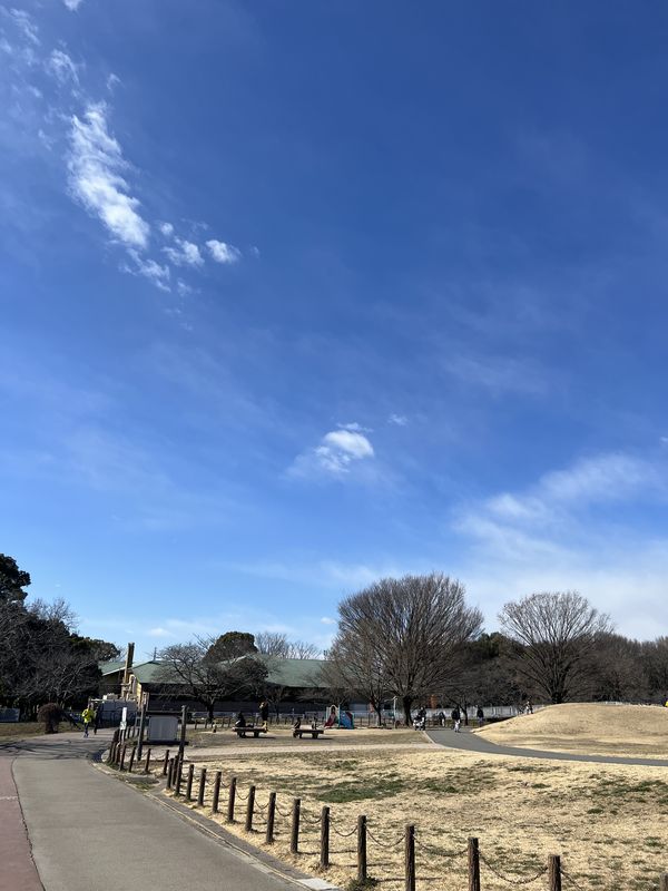 冒険広場｜県民健康福祉村