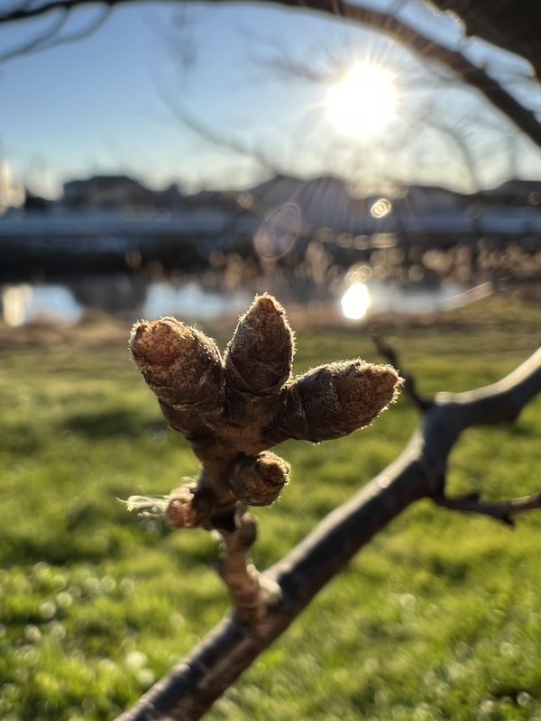 古舟の私製写真歳時記｜はじめに