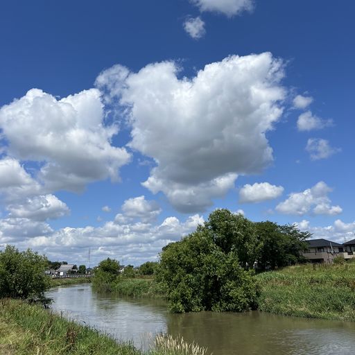 はじめに（本ブログの紹介）