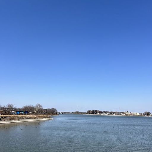 第4回 冬枯（砂沼を望む）