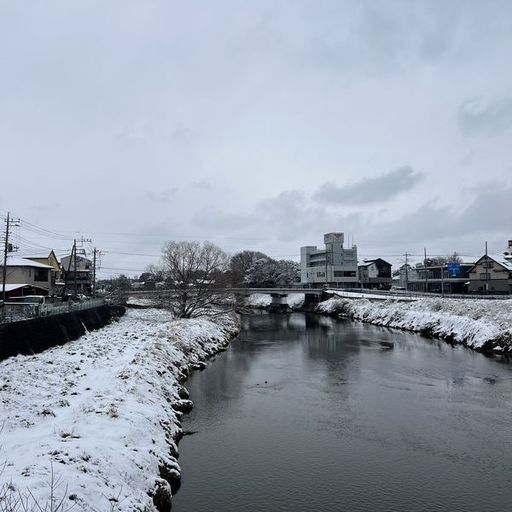第11回 春の雪（元荒川の雪景色）