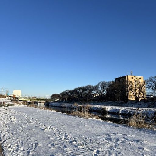 第12回 春雪（雪景色の元荒川）