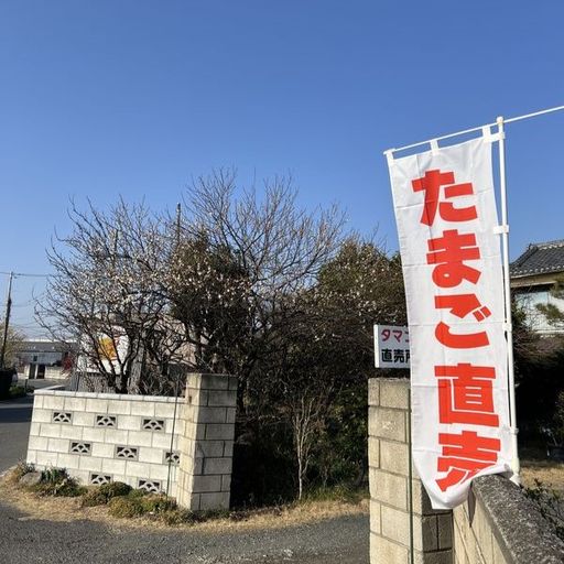 第19回 白梅（たまご販売農家）