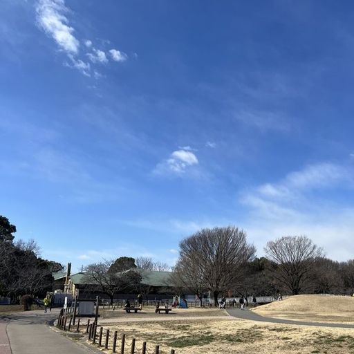 第26回 春めく（青空の県民健康福祉村）