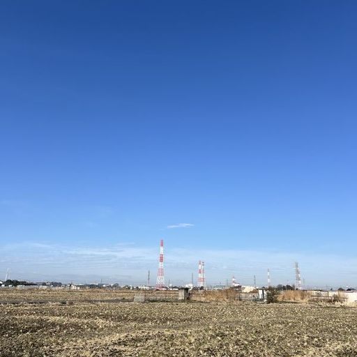 第32回 雲雀（田打ち後の田んぼと青空）