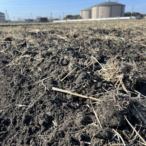 第41回 耕（乾いた稲の匂い）