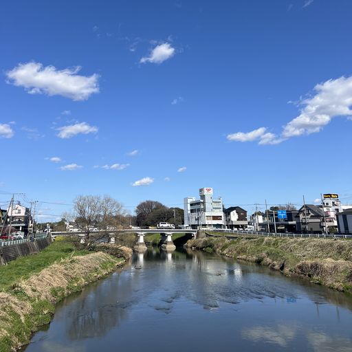 第59回 水温む（大沢橋から元荒川を望む）