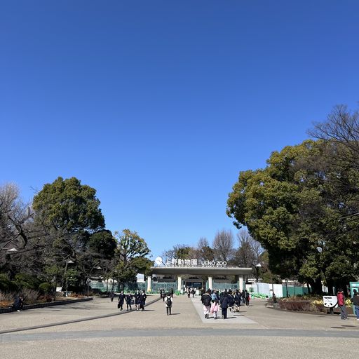 第36回 春疾風（上野の森）