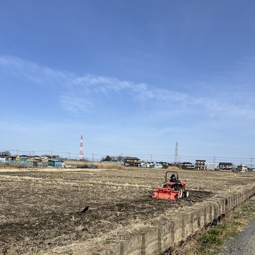 第37回 田打（青空）