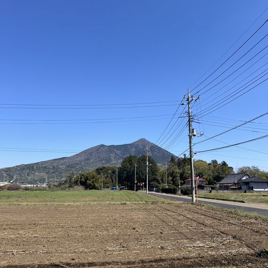 第104回 山笑う（筑波山を望む）