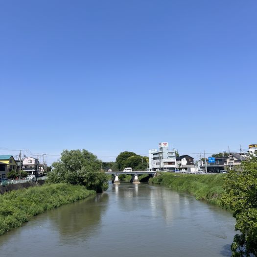 第121回 夏近し（大沢橋から元荒川を望む）