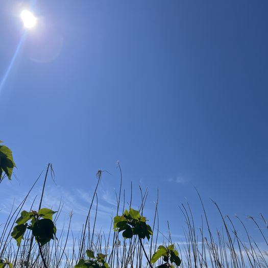立夏の青空