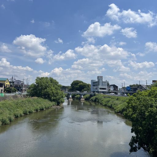 第125回 夏めく（日差しのきらめき）