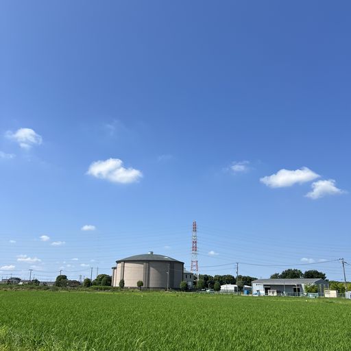 第131回 梅雨明（青空と白い雲）