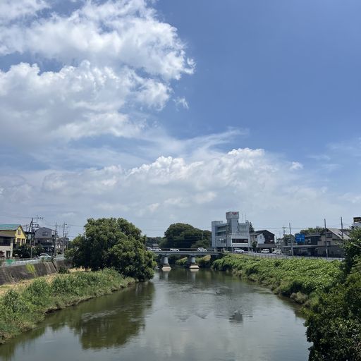 第132回 汗（猛暑日の大沢橋から元荒川を望む）