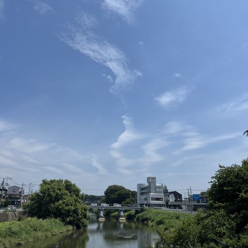 大沢橋から元荒川を望む