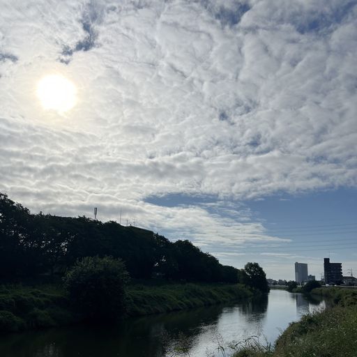 第145回 秋近し（神明橋から元荒川橋を望む）