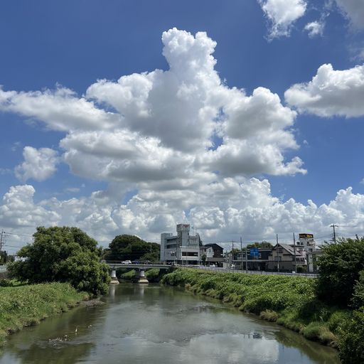 積乱雲と元荒川
