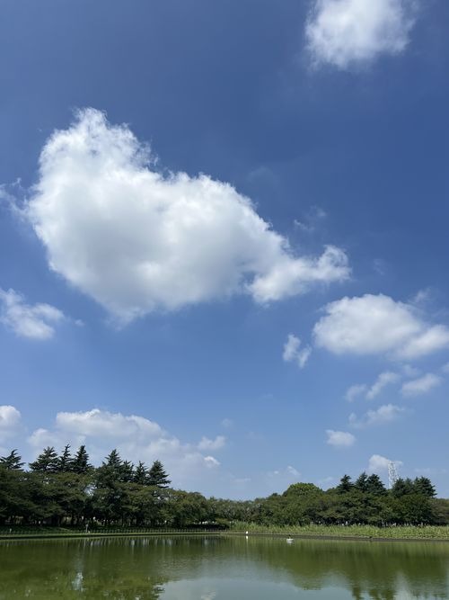第158回 秋暑し（池の上空に浮かぶ雲の峯）